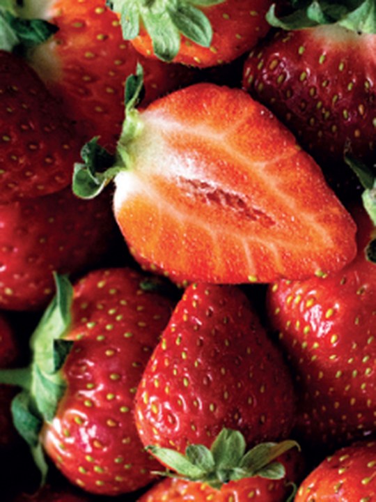 Estudio de Riesgo del Trabajo Infantil en el Sistema Productivo de la Frutilla